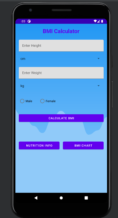 BMI Screenshot 3